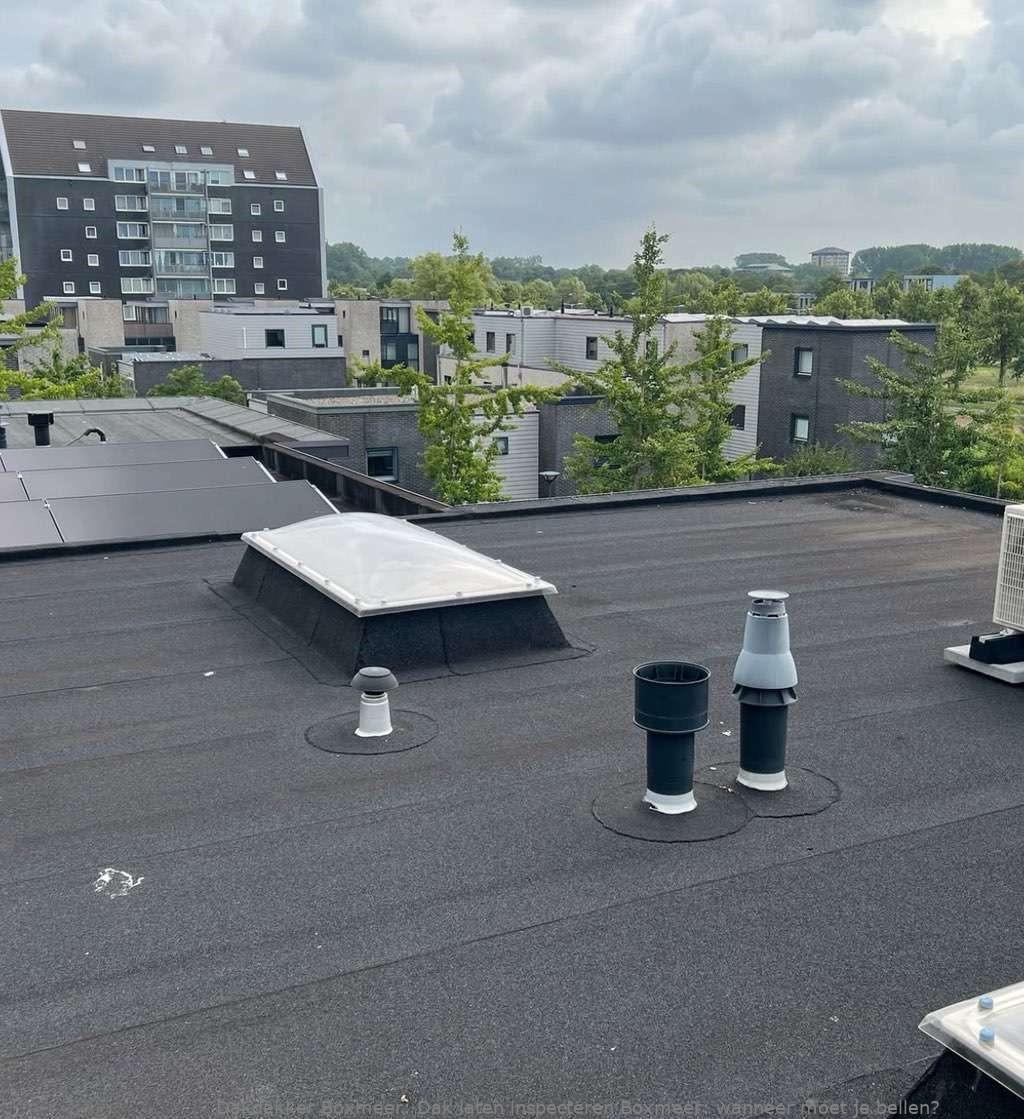Dak Laten Inspecteren Boxmeer