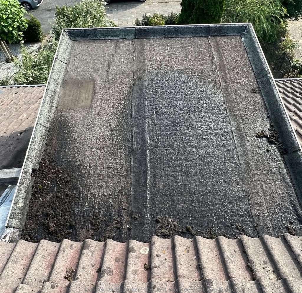 Dak Lekt Boxmeer