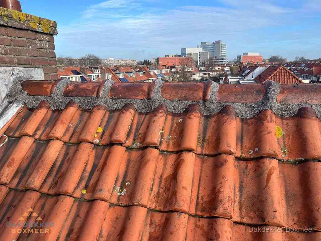 Nieuw bitumen plat dak met uitzicht over woonwijk in Boxmeer Nieuw bitumen plat dak met uitzicht over woonwijk in Boxmeer