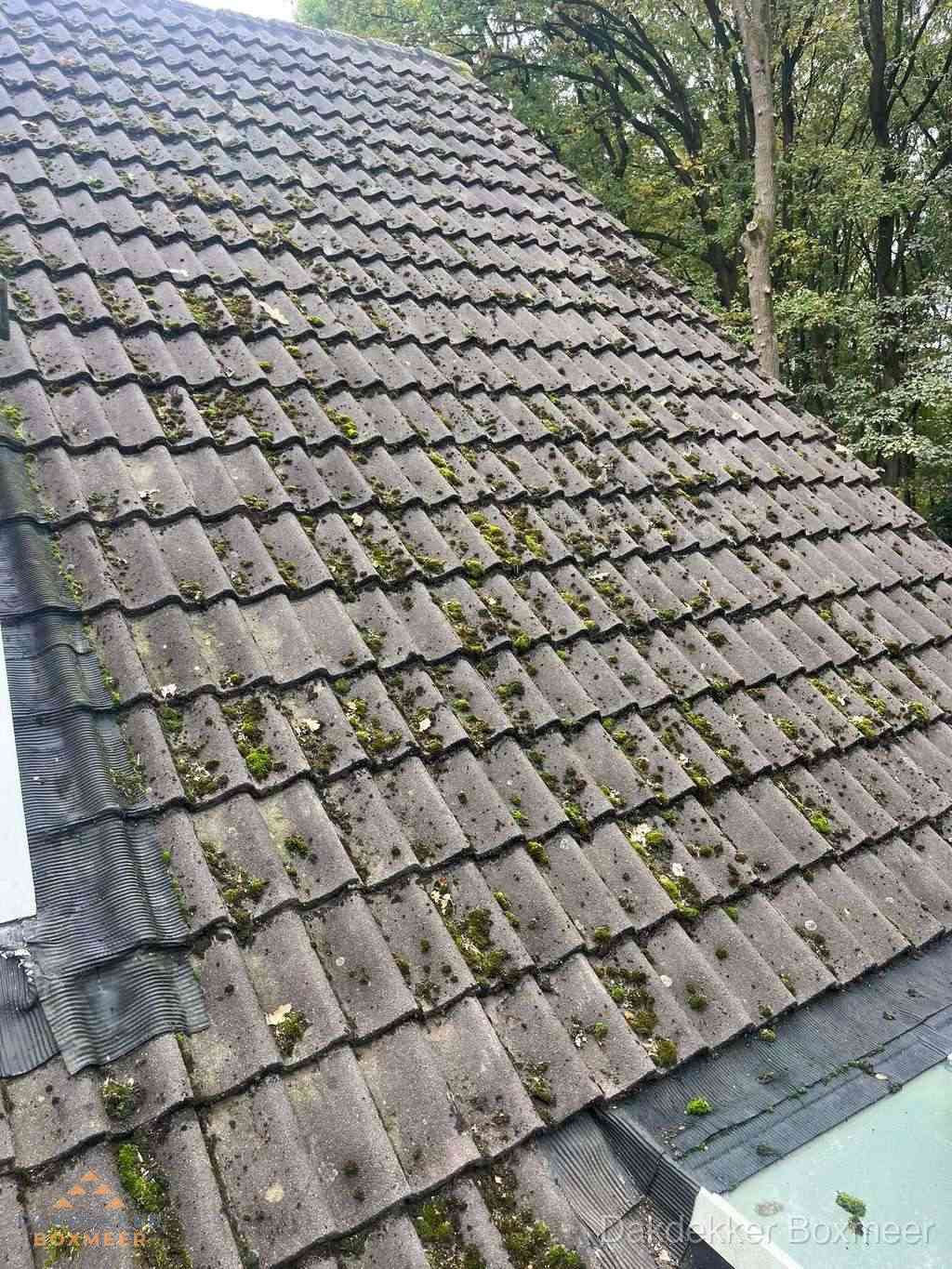 Verweerd pannendak met mosgroei dat renovatie nodig heeft in Boxmeer Verweerd pannendak met mosgroei dat renovatie nodig heeft in Boxmeer
