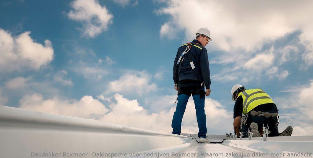 Dakinspectie Voor Bedrijven Boxmeer