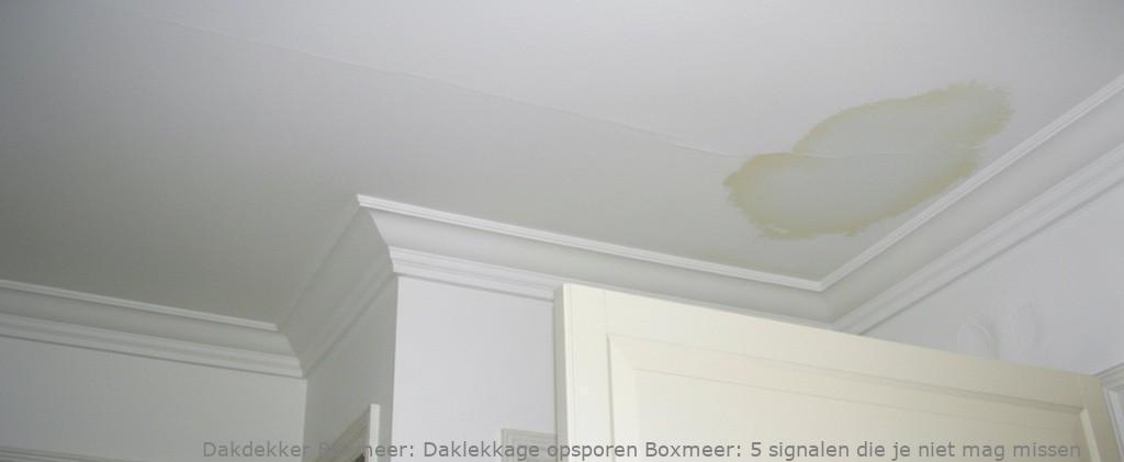 Daklekkage Opsporen Boxmeer 1