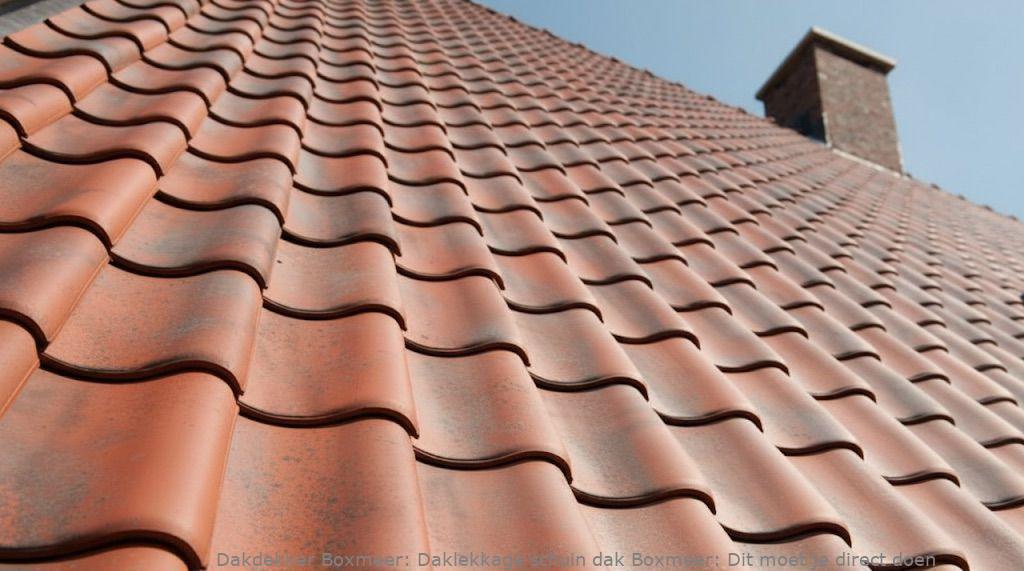 Daklekkage Schuin Dak Boxmeer