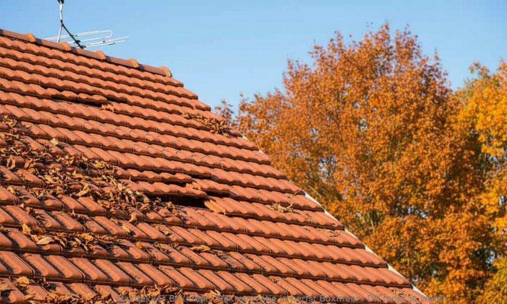 Dakrenovatie In Herfst Boxmeer