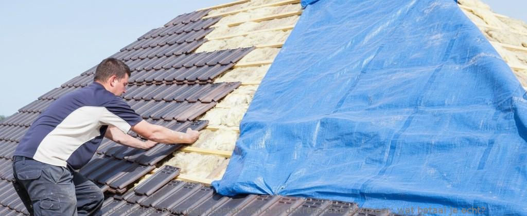 Kosten Van Een Dakreparatie Boxmeer