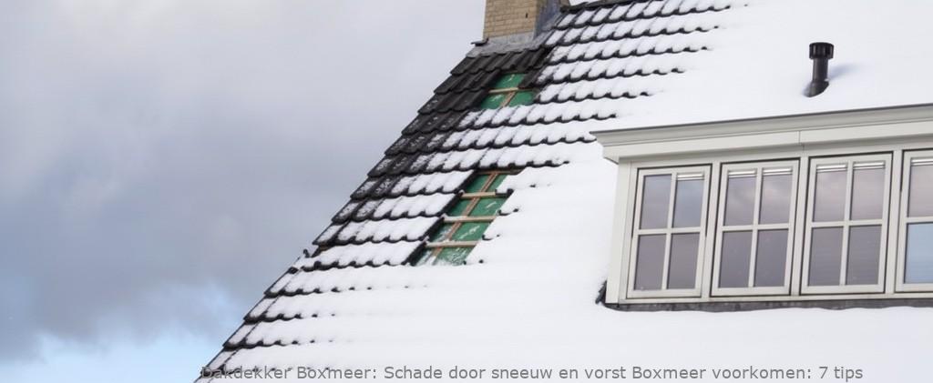 Schade Door Sneeuw En Vorst Boxmeer