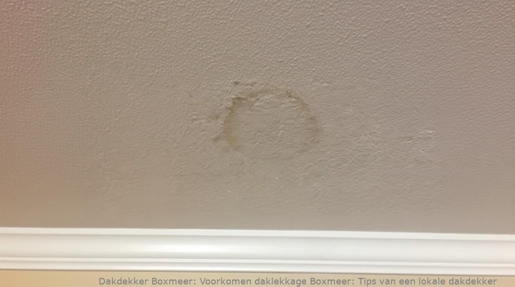 Voorkomen Daklekkage Boxmeer