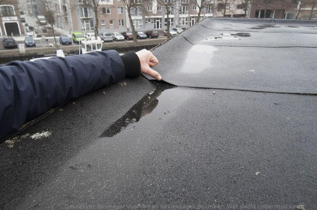 Voorkomen Daklekkages Boxmeer