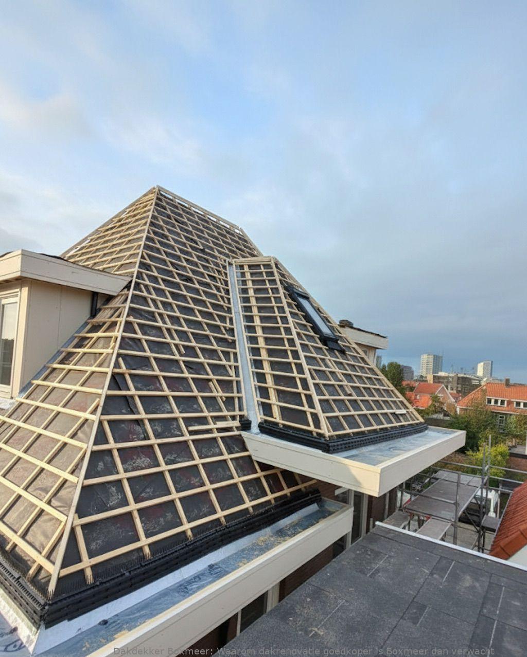 Waarom Dakrenovatie Goedkoper Is Boxmeer